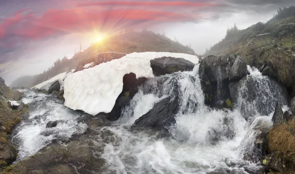 Source de la rivière Prut dans les Carpates — Photo