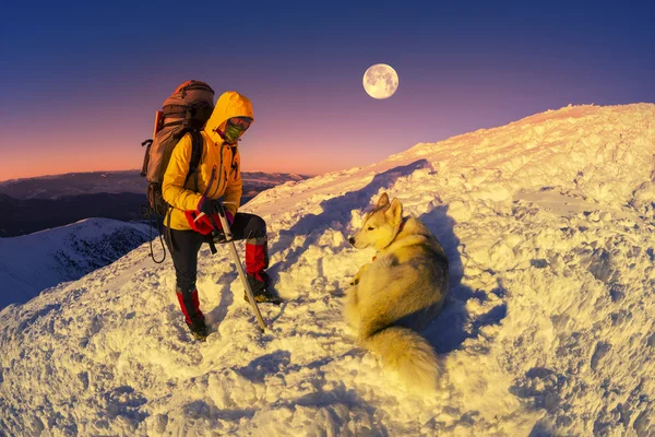 Escalador y perro en el hermoso pico Goverla — Foto de Stock