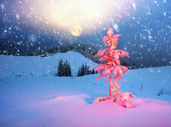 Noite de inverno gelada de Batismo — Fotografia de Stock