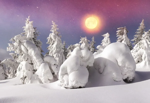 Inverno paisagem montanhosa após nevasca — Fotografia de Stock