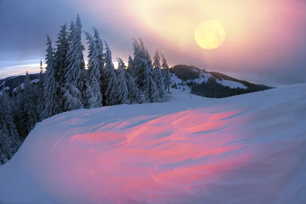 那场暴风雪之后的山林 — 图库照片