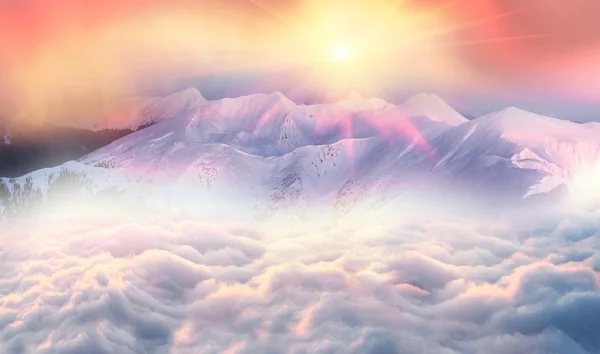Kış Karpat Dağları — Stok fotoğraf