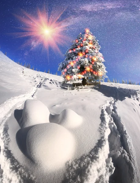 Karpaterna snöiga skogen — Stockfoto