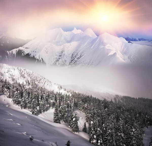 Paysage de montagne d'hiver après blizzard — Photo