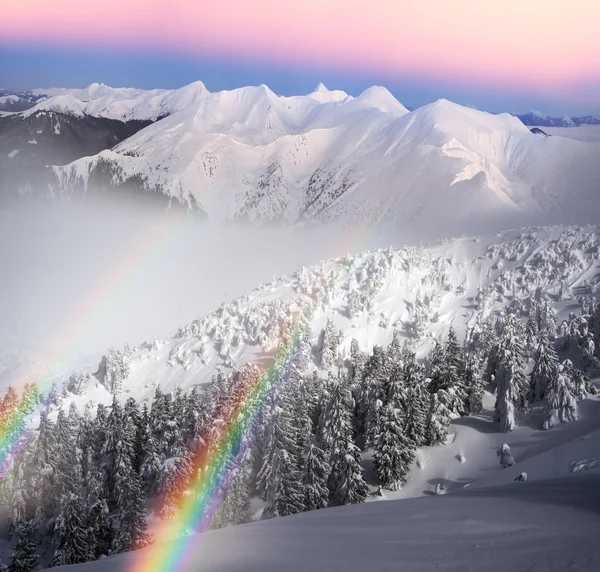 Paysage de montagne d'hiver après blizzard — Photo