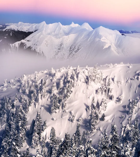Paesaggio montano invernale dopo bufera di neve — Foto Stock