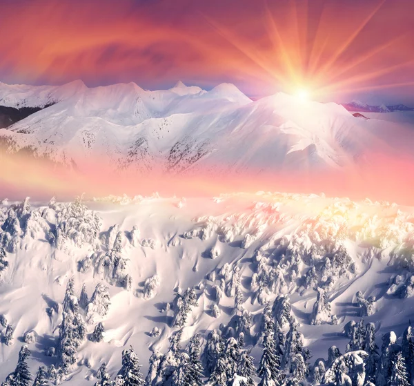 冬季大雪后山风景 — 图库照片