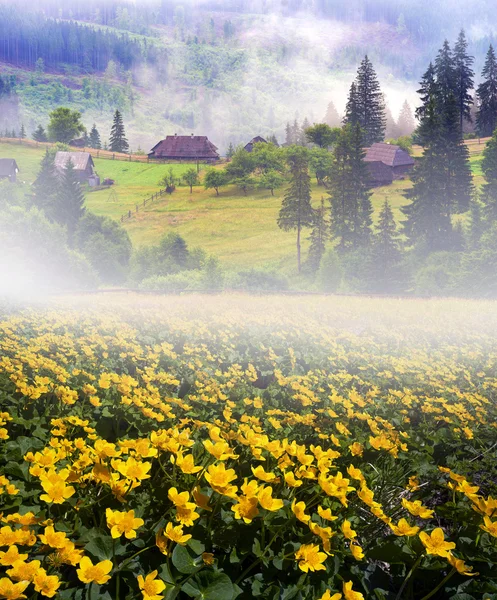 카 르 파 티아 산맥에 있는 농장 — 스톡 사진