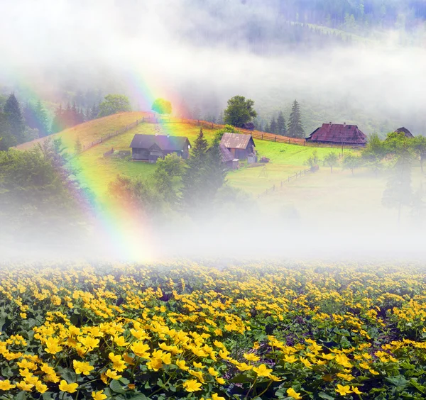 Boerderij in de Karpaten — Stockfoto