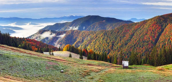 Autumn on pasture with shepherds houses — Stock Photo, Image