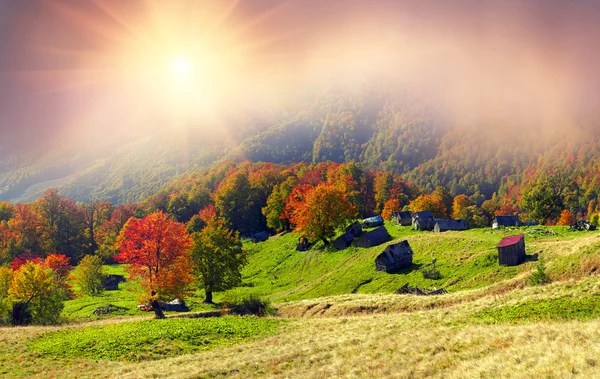 Otoño en pastos con casas de pastores —  Fotos de Stock