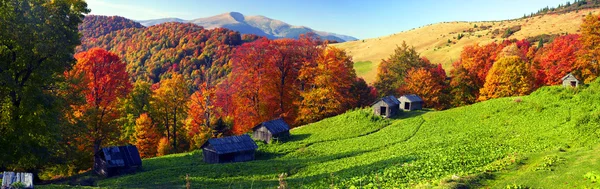 Autumn on pasture with shepherds houses — Stock Photo, Image