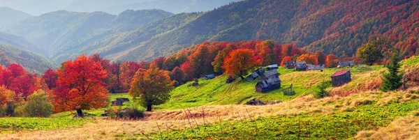 Autunno su pascolo con case di pastori — Foto Stock