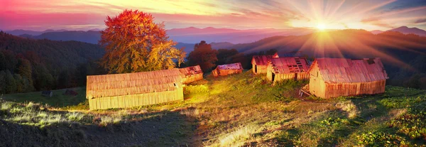 秋天在牧场与牧羊人的房子 — 图库照片