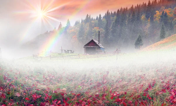 Bergweiden met houten huizen — Stockfoto