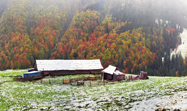 Pastagens de montanha com casas de madeira — Fotografia de Stock