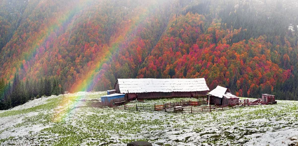 Pascoli di montagna con case in legno — Foto Stock