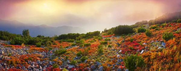 Herfst landschap in de Karpaten — Stockfoto