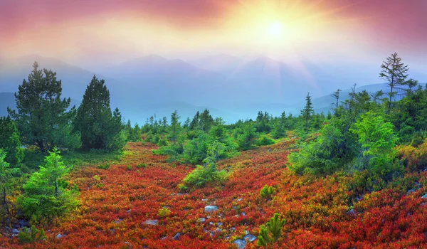 Jesień krajobraz w Karpatach — Zdjęcie stockowe