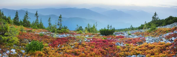 Herbstlandschaft in den Karpaten — Stockfoto