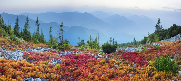 Paisagem de outono nas montanhas dos Cárpatos — Fotografia de Stock