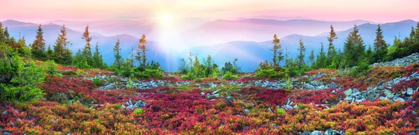 Paisaje otoñal en las montañas Cárpatas — Foto de Stock