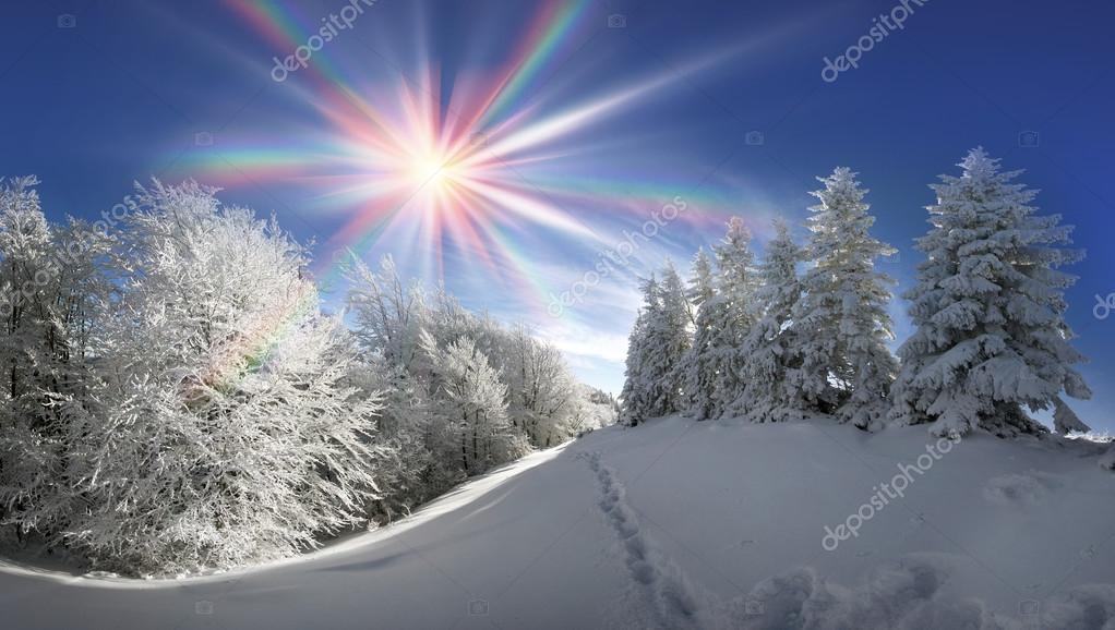 Январские сугробы. Зима солнце. Красивая зима. Зимняя природа. Красивые пейзажи зимы.