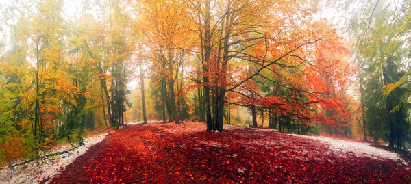 Autumn landscape in Transcarpathia — Stock Photo, Image