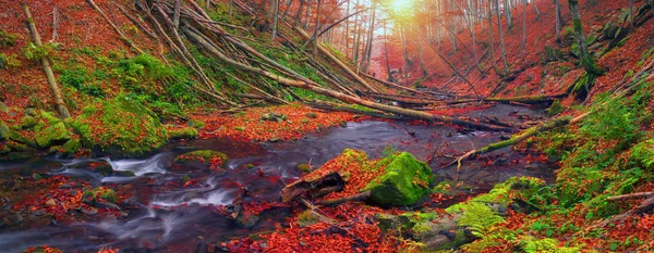 Bukowego lasu i górskie rzeki — Zdjęcie stockowe