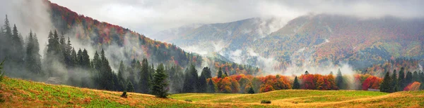 Paysage d'automne dans les Carpates — Photo