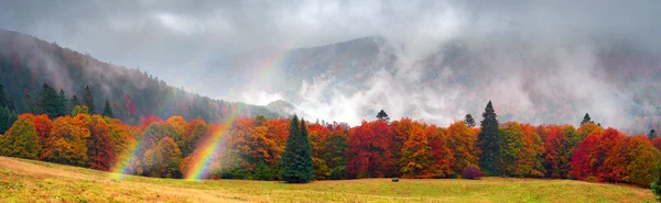 Paisaje otoñal en Cárpatos — Foto de Stock