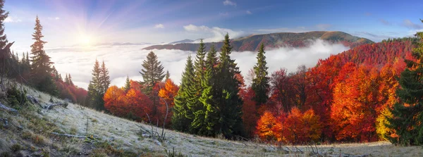 Paisagem de outono nas montanhas dos Cárpatos — Fotografia de Stock