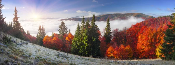 Paisaje otoñal en las montañas Cárpatas — Foto de Stock