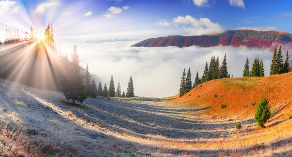 秋の山の霧 — ストック写真