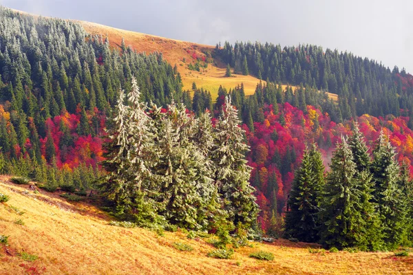 Φθινοπωρινό τοπίο στα Καρπάθια Όρη — Φωτογραφία Αρχείου