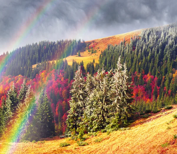 Paisagem de outono nas montanhas dos Cárpatos — Fotografia de Stock