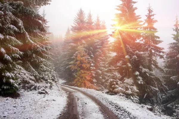 Paesaggio autunnale in Transcarpazia — Foto Stock