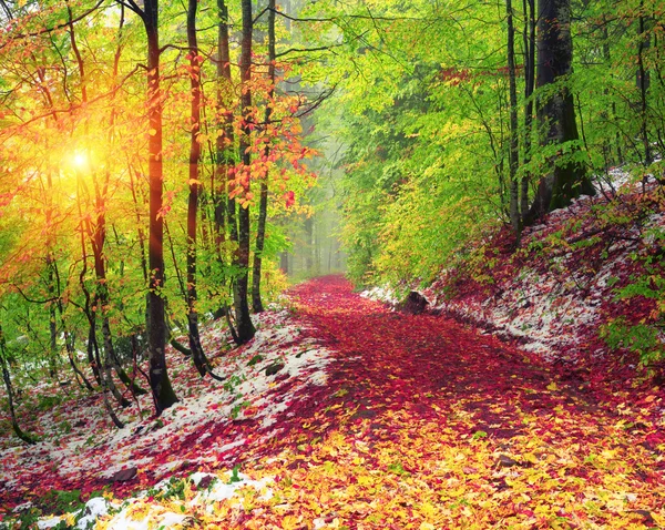 秋季景观在札刻帕卡 — 图库照片