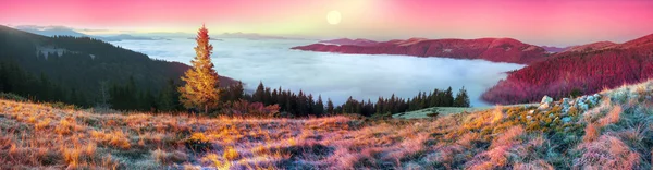 Brouillard dans les montagnes d'automne — Photo