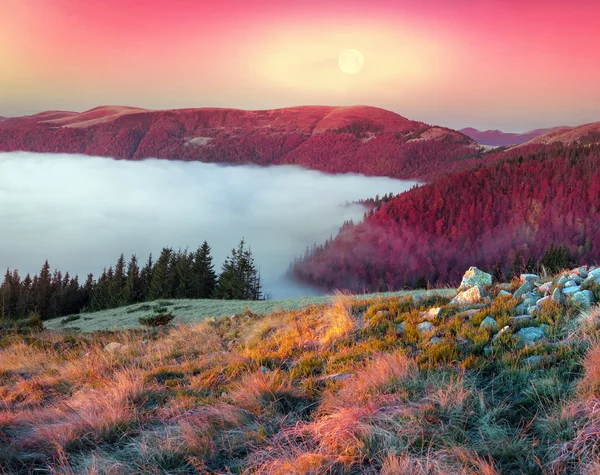 Niebla en las montañas de otoño — Foto de Stock