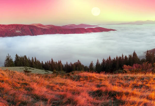 Fog in autumn mountains — Stock Photo, Image