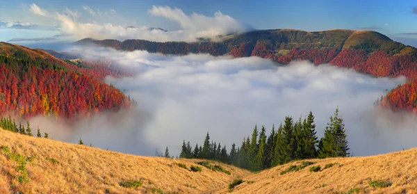Sis sonbahar Dağları — Stok fotoğraf