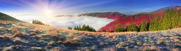 Ceață în munții de toamnă — Fotografie, imagine de stoc