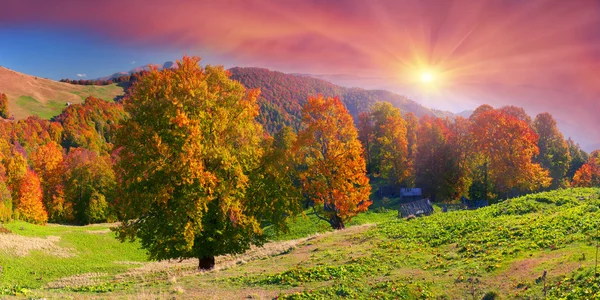 Autumn on pasture with shepherds houses — Stock Photo, Image