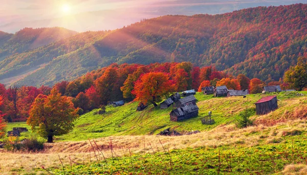 Otoño en pastos con casas de pastores —  Fotos de Stock