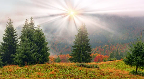 Paisaje otoñal en Cárpatos — Foto de Stock