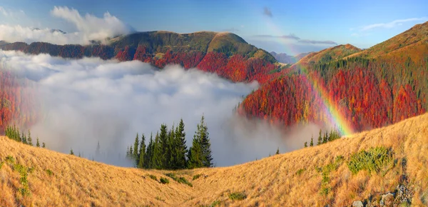 Brouillard dans les montagnes d'automne — Photo