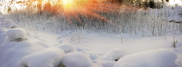 Belos flocos de neve brilhantes ao nascer do sol — Fotografia de Stock