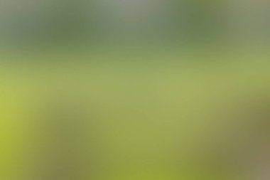 Beautiful abstract design featuring seamless soft color gradients background