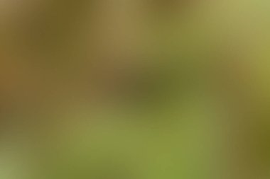 Beautiful abstract design featuring seamless soft color gradients background